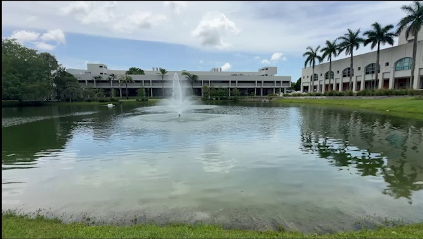 Two-ASV execution (d).