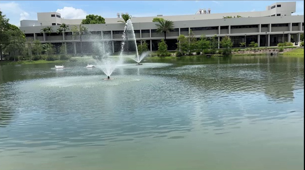 Two-ASV execution (e).